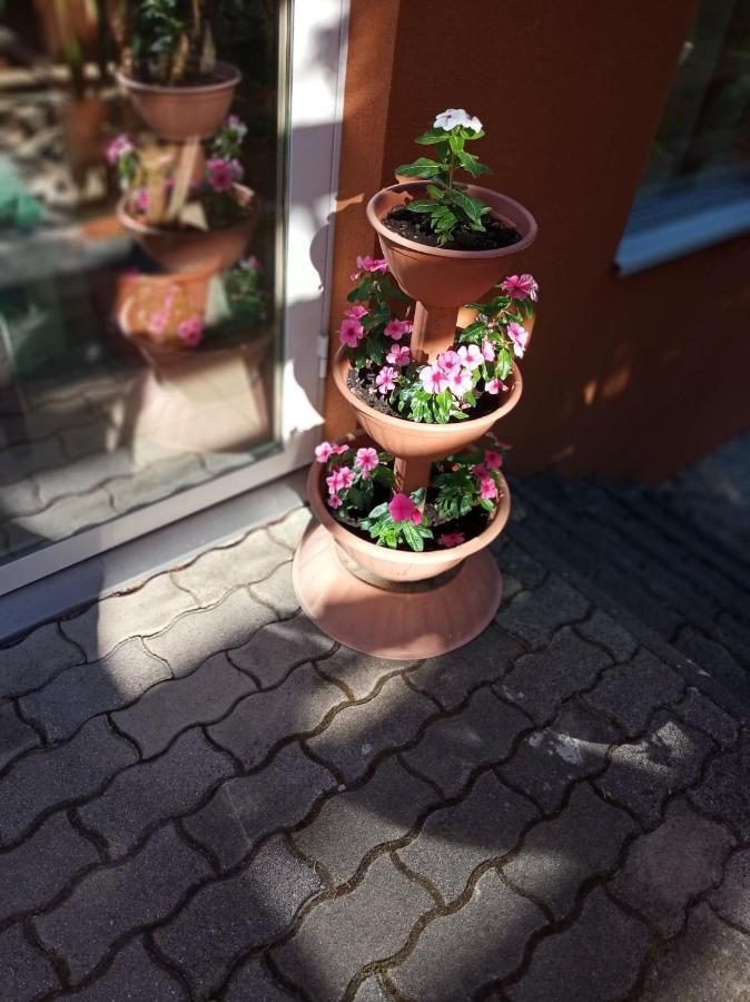 Hotel Pergola Panzio Balatonföldvár Zewnętrze zdjęcie